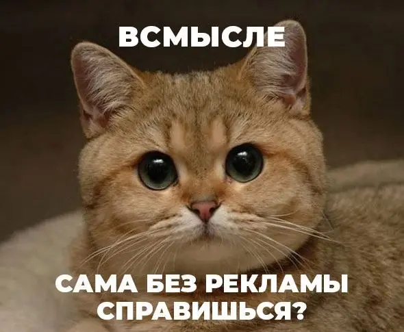 Мем-креатив «Сама без рекламы справишься?» — мотивация к запуску рекламы в кейсе Sold-Out